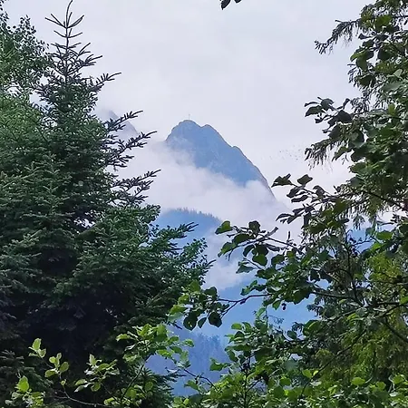 בית אירוח Goscinne 